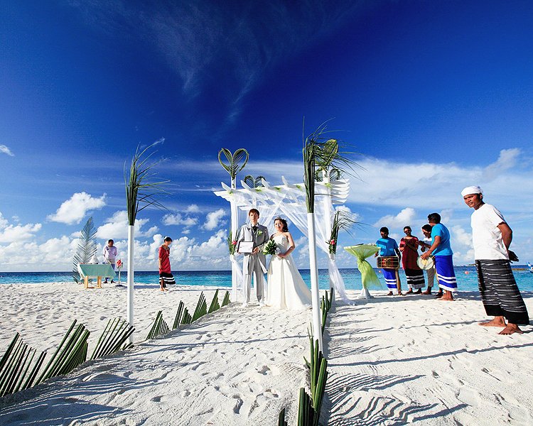 Wedding Trip